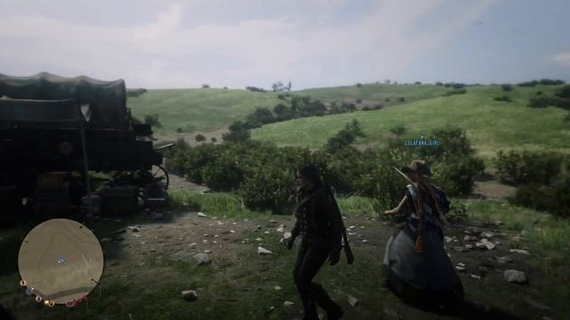 Red Dead Redemption 2 баги