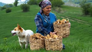 Из Леса на Стол | Сбор и Приготовление Диких Сморчков