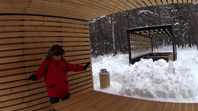 Влог: Шикарная прогулка в лесу// Крылышки гриль/ знакомьтесь, Беляш!