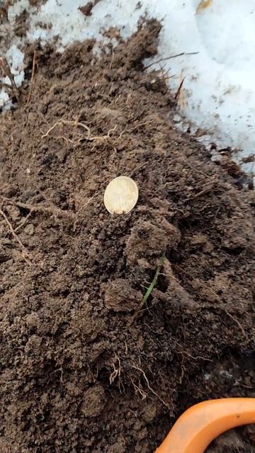 Эквинокс 900 #equinox #коп смотреть онлайн