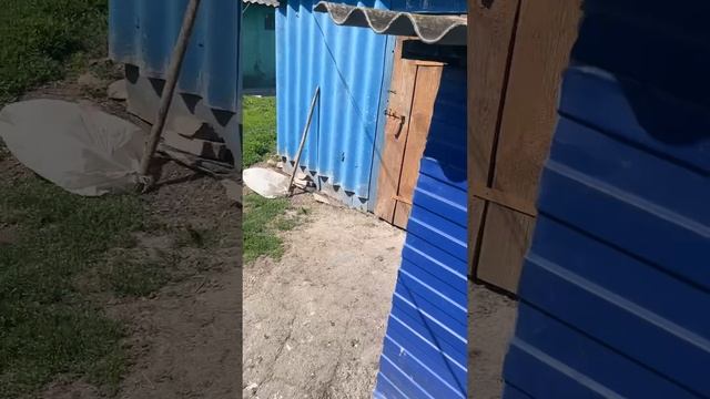 Copy_6B725897-EA21-41D6-8F33-710AC688AEA2