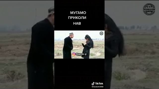 мугамбо приколи нав