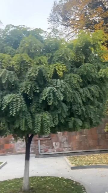 Ереванский завод коньяка ARARAT. Леонов про пользу коньяка. смотреть онлайн