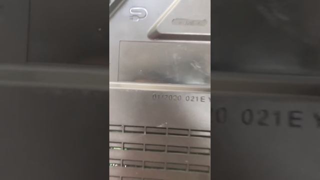Зу Бош смотреть онлайн