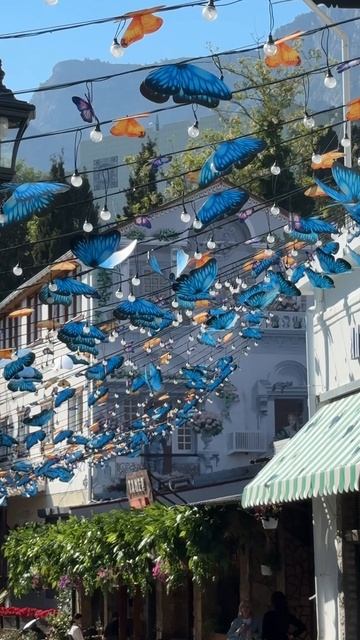 Алупка после реконструкции. Улица Фрунзе поменяла облик. Крым сегодня #алупка #алупка2025 #крым2025 смотреть онлайн