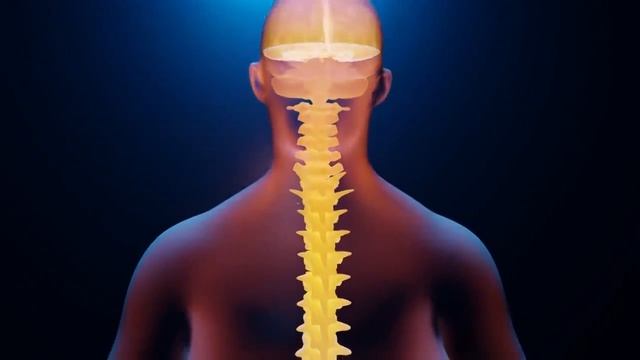 24-05-2025  Матрица Гаряева для Шейного отдела позвоночника.