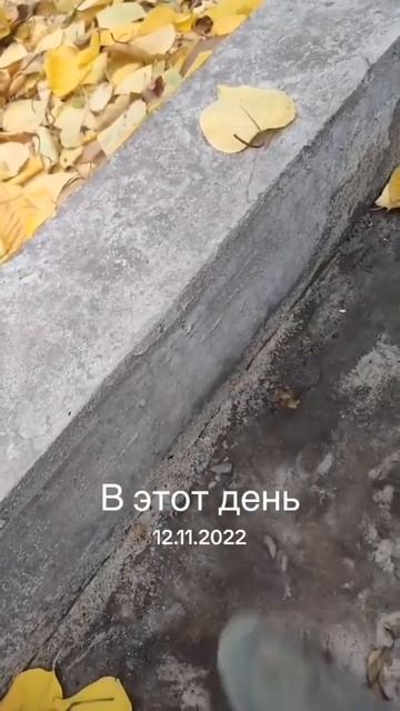 #лайфхаки #строительство #бетон #испания #приколы смотреть онлайн