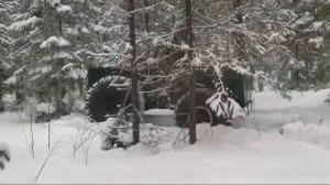 Каракат переломка по снегу в лесу