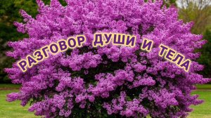 РАЗГОВОР ДУШИ И ТЕЛА.