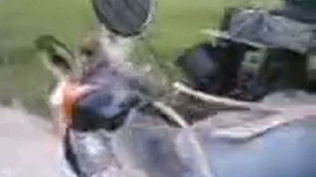 Частное видео! смотреть онлайн