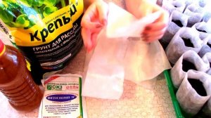 Посев перца и баклажанов на рассаду - 7 дач