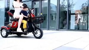 электро трицикл 3х местный для всей семьи