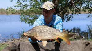 Рыбалка на сазана и карпа с кормушкой флэт фидер