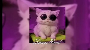 Я бы носил тебя на руках среди ап