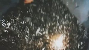 Замор рыбы 2023. Щука. Перезалив