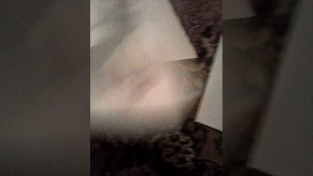 Новые рисунки моей подруги и мои рисунки. смотреть онлайн