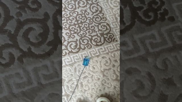 шоу КИС КИС МЯУ😺 смотреть онлайн