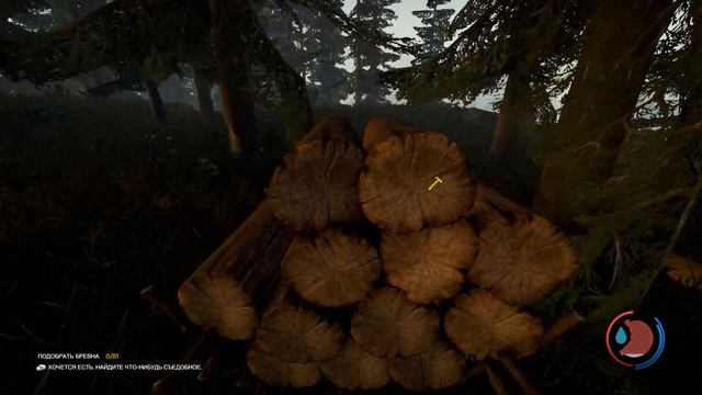 Какая прелесть - The Forest #3 смотреть онлайн