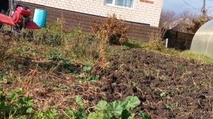 Жесткая земля (целина)как вспахать не большим мотобло?