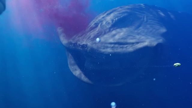 Песня Клип про Блупа морской МОНСТР Betsy, Мария Янковск?