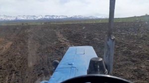 Мтз 80 боронавание поля.Самодельная зубовая борона