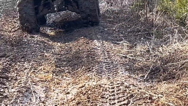 На КВАДРОЦИКЛЕ за ХЛЕБУШКОМ #hisun #квадроцикл #покатушк?