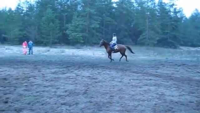 Изображение 821 смотреть онлайн