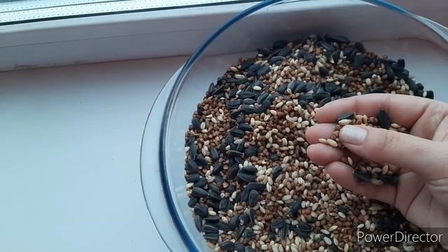 ВЛОГ: "ВОРОБЕЙ" ГОТОВ 😂 / ДОМАШНИЙ ВЛОГ / ПТИЦЫ И КОСМЕТИЧЕСКИЕ БАНКИ смотреть онлайн