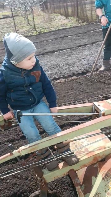 посадка редиски йде повним ходом 2023. 26 березня смотреть онлайн