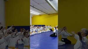 Айкидо. Муцуко Минигиши. «Женщина на 8 миллиардов»