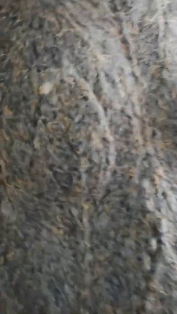 Стильный жилет из мохера смотреть онлайн