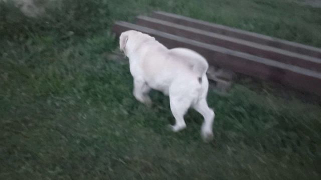 Не надо меня учить Я сама разберусь . КАК Я Моюсь в Деревне чтобы не вонять смотреть онлайн