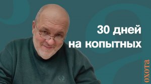 30 дней на копытных. Валерий Кузенков о сроках охоты.