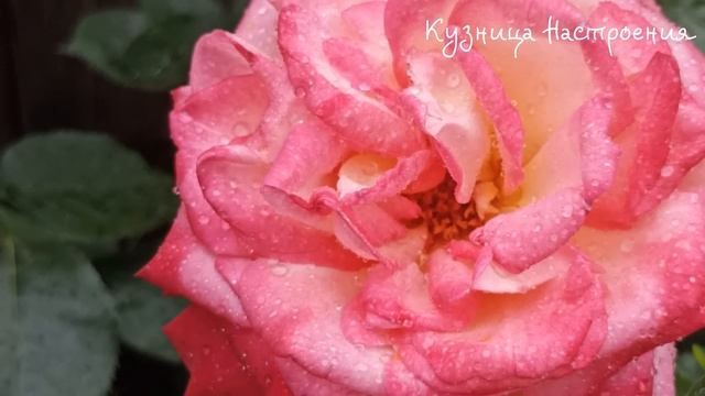 6 апреля Канун Благовещения. День Захария. Что нельзя д смотреть онлайн