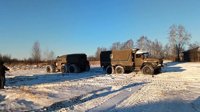 8 ноября 2024 г. смотреть онлайн