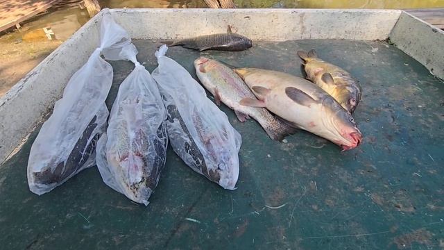 24.05.25 г. Парк отдыха водопад смотреть онлайн