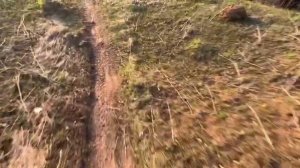 ПОКАТУШКА НА OXO 300 LITE | ГОРКИ | STUNT🔥