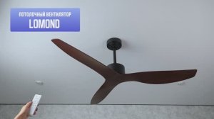 Потолочный вентилятор DAIVEN Lomond