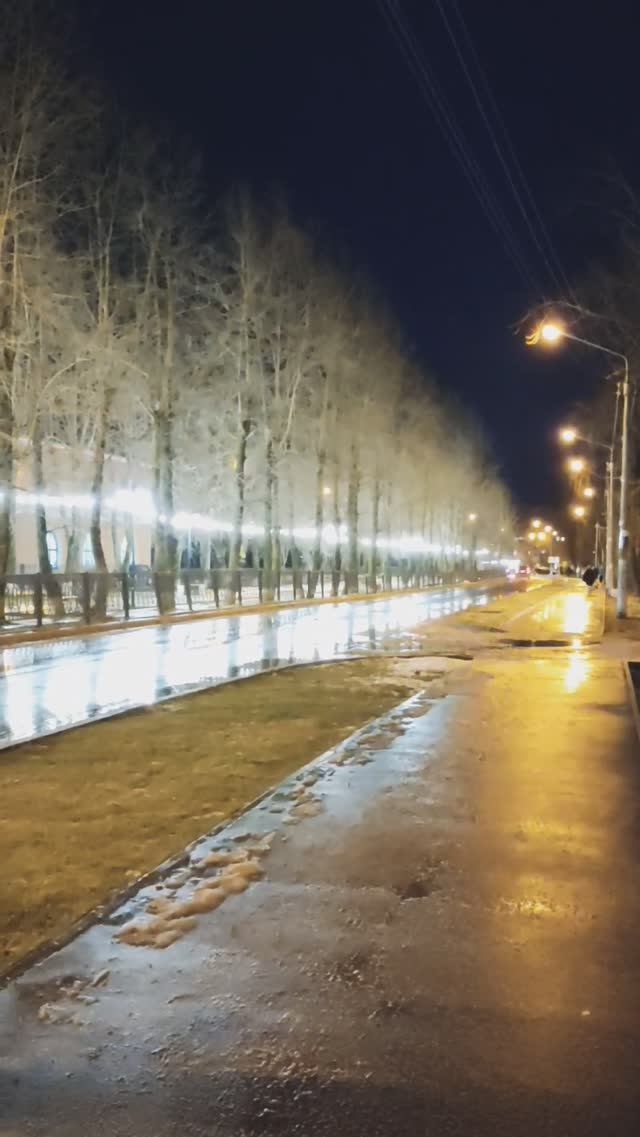 Архангельская областьНоябрь2024 Новодвинск Прогулка по городу#город #север #арктика #шортс #Shorts смотреть онлайн