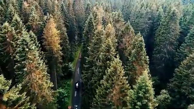 Природа HD Качество  Короткое Видео