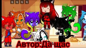 разноцветные коты в 1 комнате 24 часа❤️🖤2/5