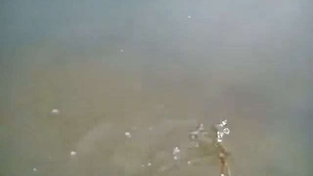 Приколы окунь мира смотреть онлайн