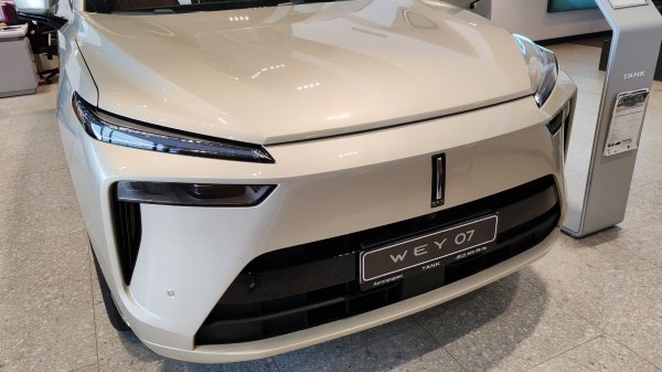 Мини обзор WEY 07