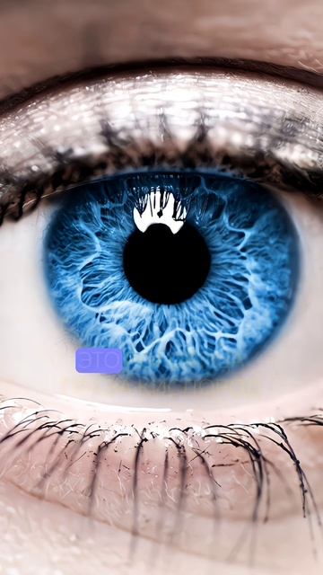 единственная часть человеческого тела не имеет крово? смотреть онлайн