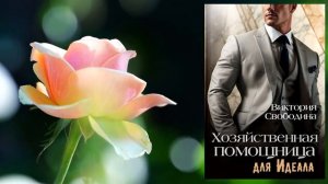 Хозяйственная помощница для идеала (Виктория Свободи?