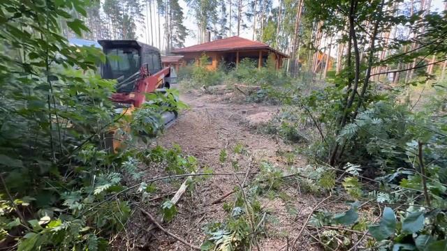 Лесной мульчер на мини-погрузчике | Forestry mulcher on a skid-steer смотреть онлайн