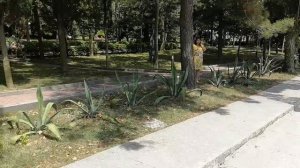 Ольгинка Туапсе. Обзор ЛОК Орбита. ЛОКу не хватает Лоска. Отличное место для отдыха, но требует наве