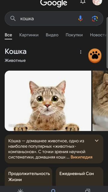 вай, такое же есть с собакой) смотреть онлайн