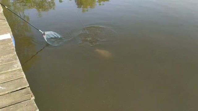 24.05.25 г. РК Волна смотреть онлайн