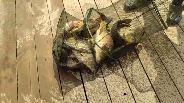 WhatsApp Video 2025-05-24 at 14.21.40 смотреть онлайн